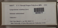Image Associated With the Occurence